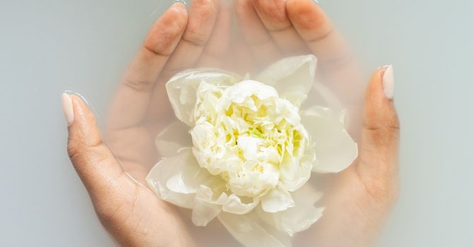 Naturopathic Medicine
